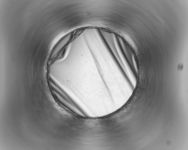 X0000090420944200708101939