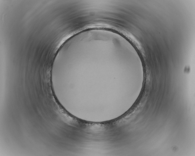 X0000090420945200708101939