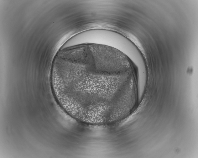 X0000090420946200708101939