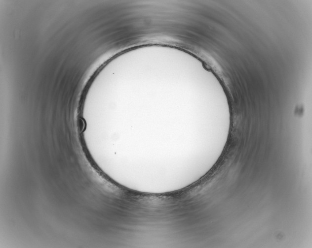 X0000090420947200708101939