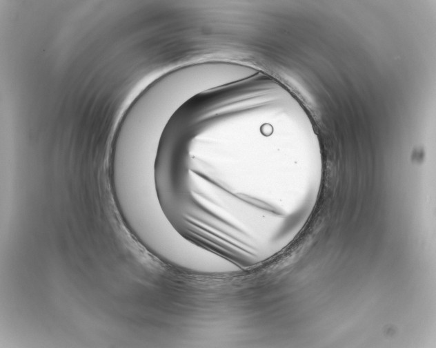 X0000090420948200708101939
