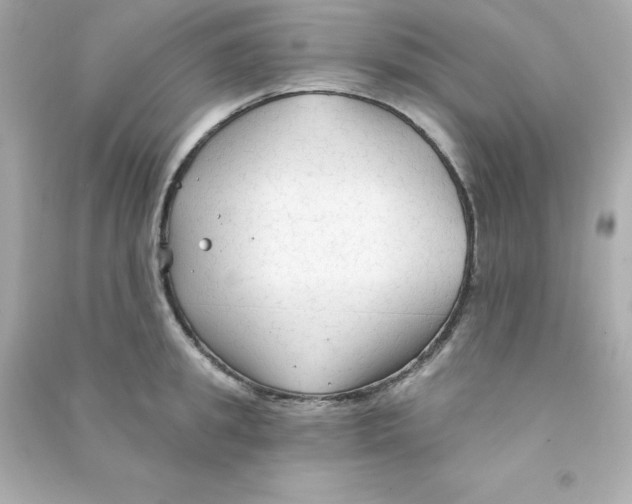 X0000090420949200708101939