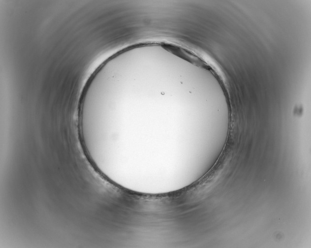 X0000090420951200708101939