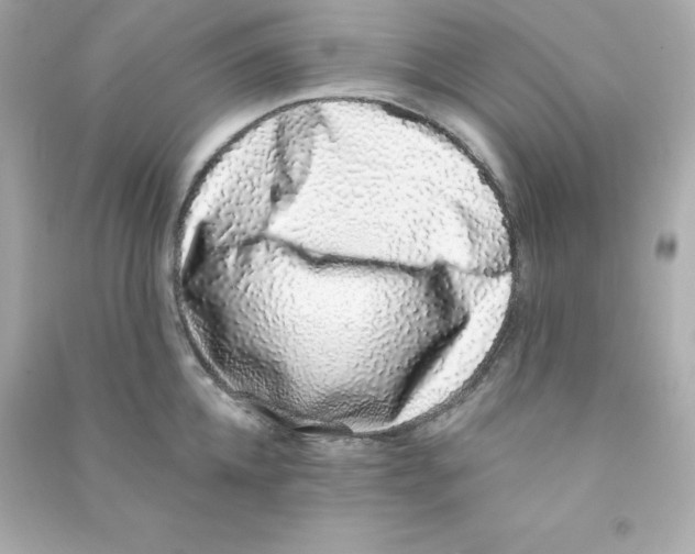 X0000090420952200708101939