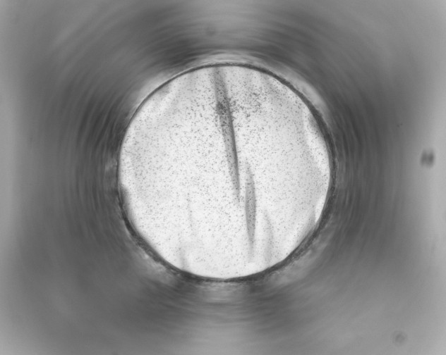 X0000090420953200708101939
