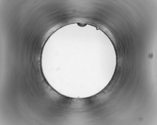 X0000090420954200708101939