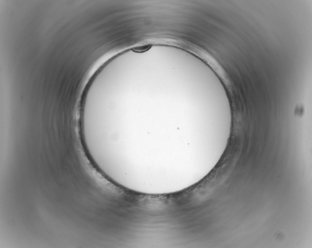 X0000090420955200708101939