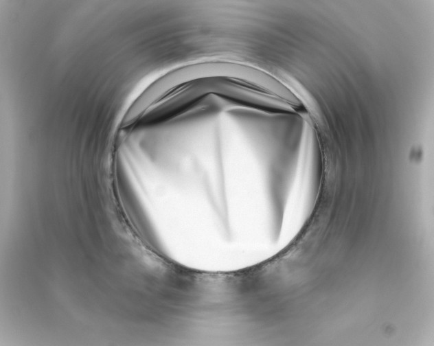 X0000090420956200708101939