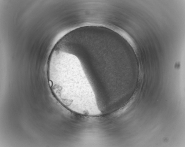 X0000090420958200708101939