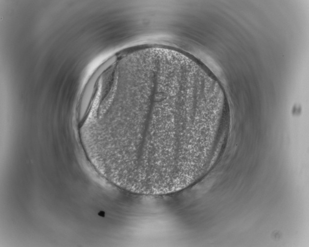 X0000090420960200708101939