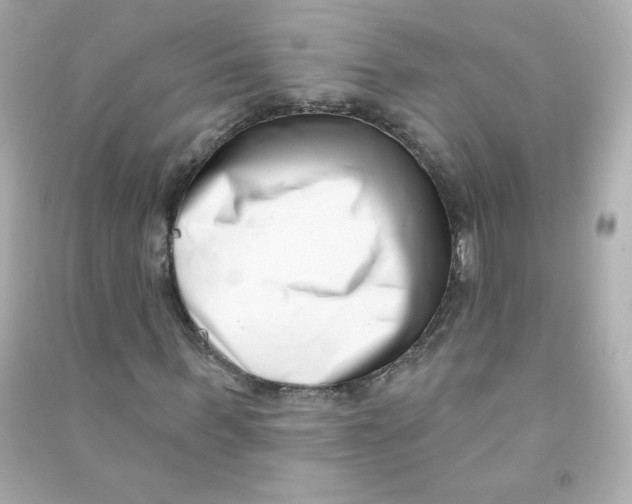 X0000090420963200708101939