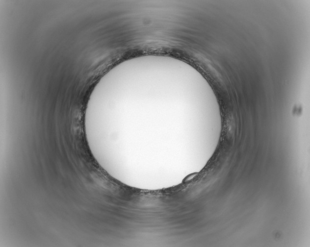 X0000090420964200708101939