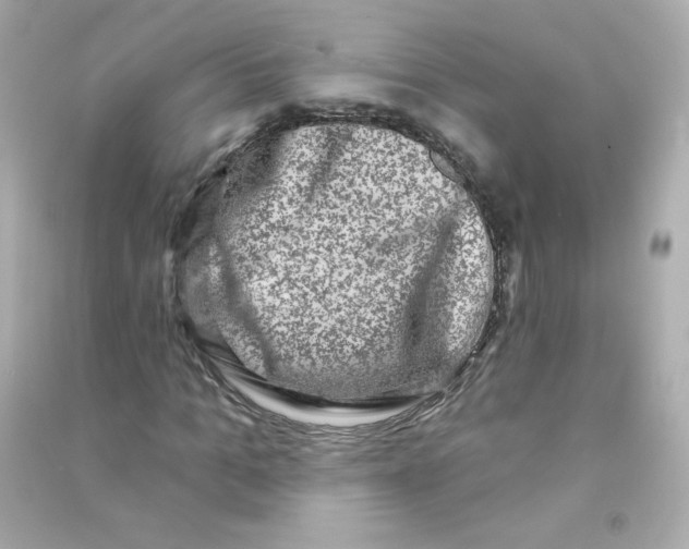 X0000090420965200708101939