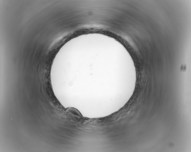 X0000090420967200708101939