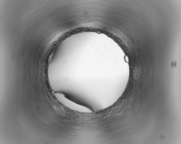 X0000090420968200708101939