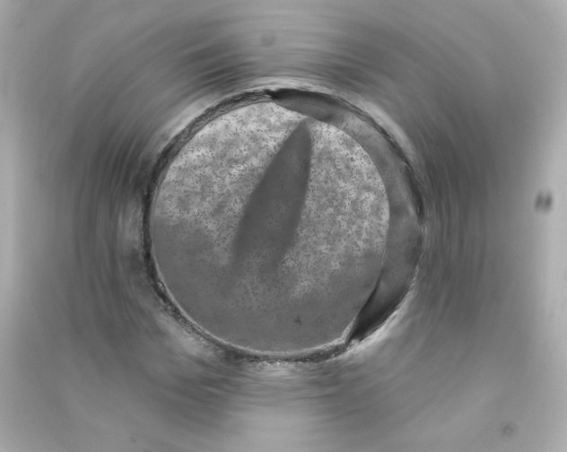 X0000090420969200708101939