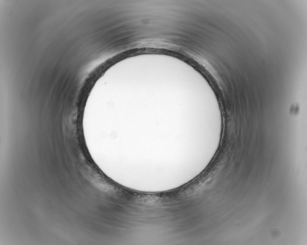 X0000090420971200708101939