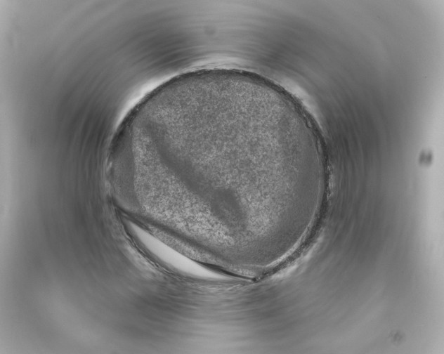 X0000090420973200708101939