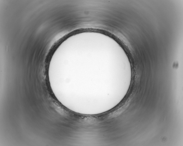X0000090420974200708101939