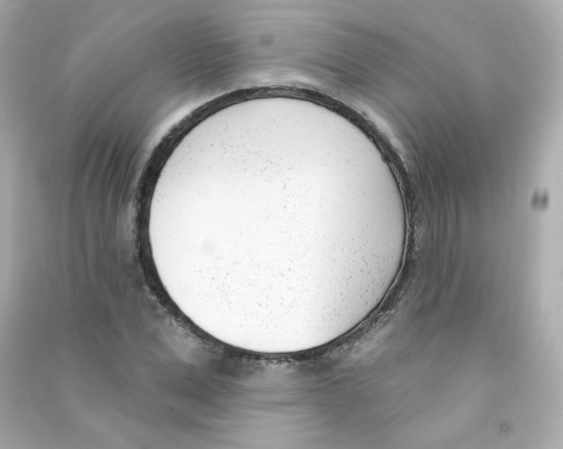 X0000090420975200708101939