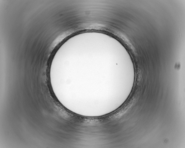 X0000090420978200708101938