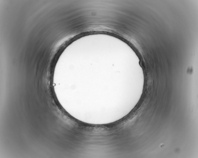 X0000090420979200708101938