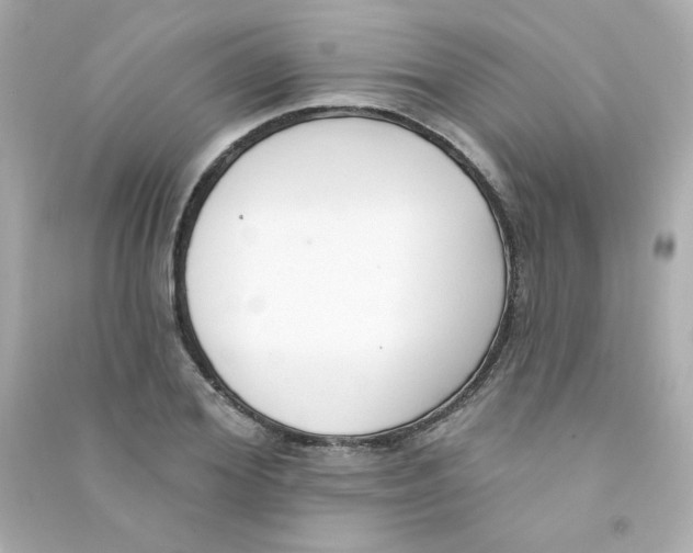 X0000090420980200708101938