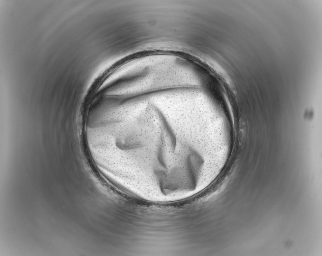 X0000090420981200708101938