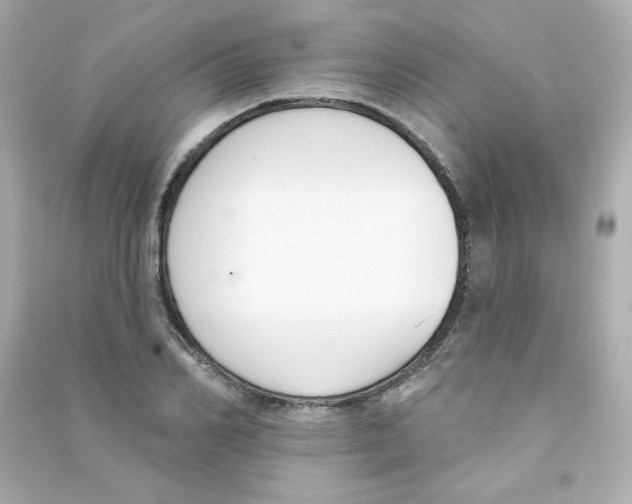X0000090420982200708101938