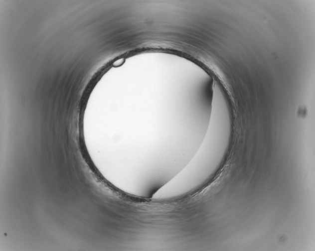 X0000090420984200708101938