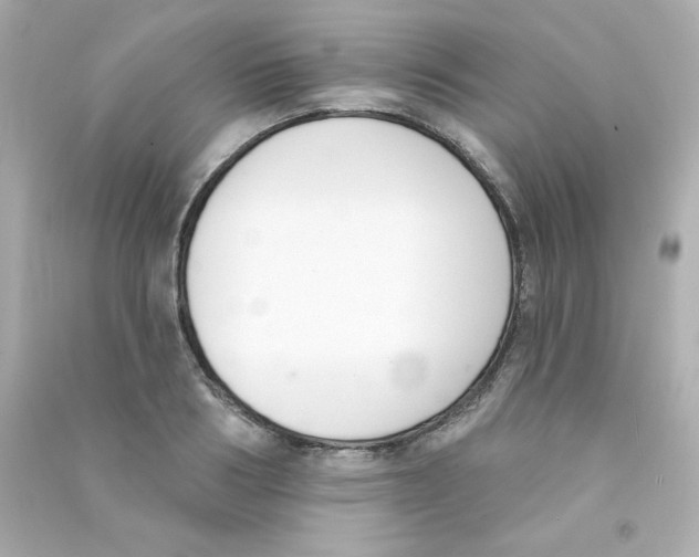 X0000090420986200708101938