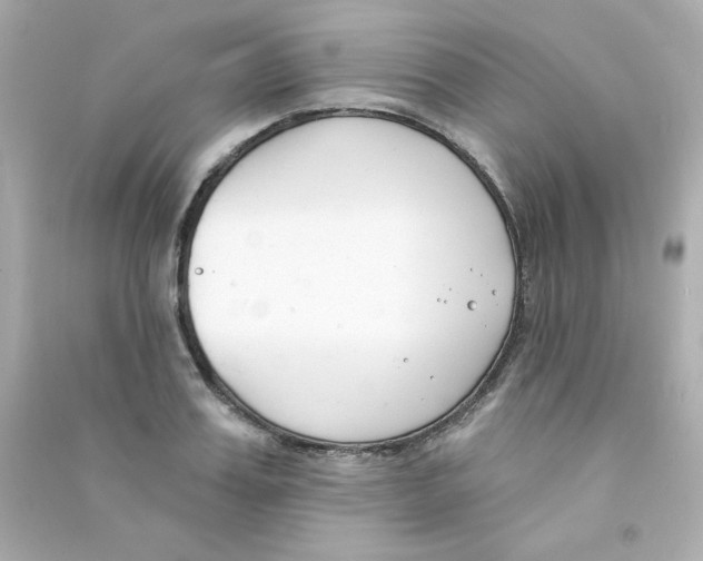 X0000090420987200708101938