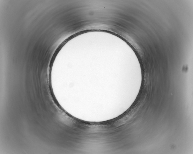 X0000090420988200708101938