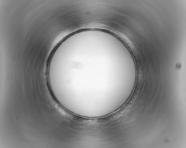 X0000090420990200708101938
