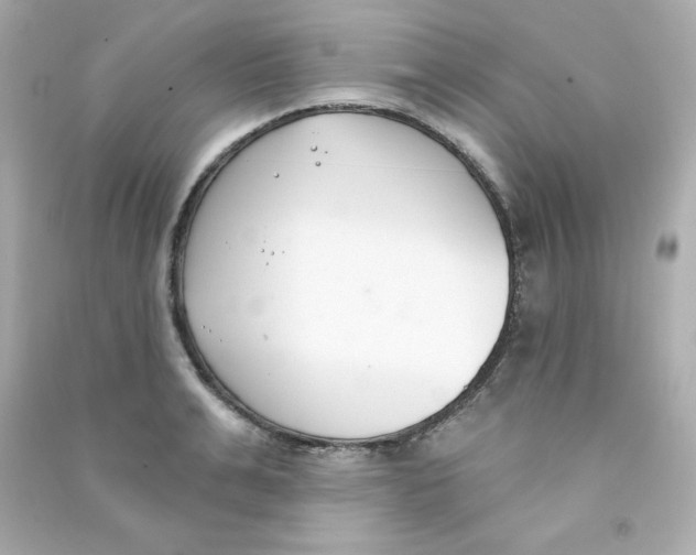 X0000090420991200708101938