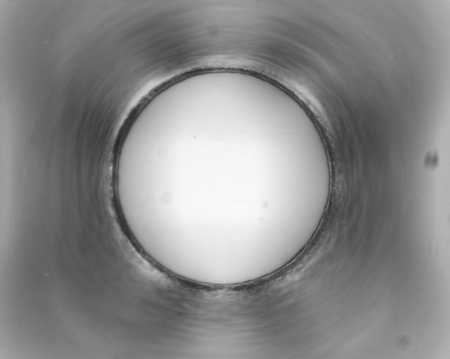 X0000090420992200708101938