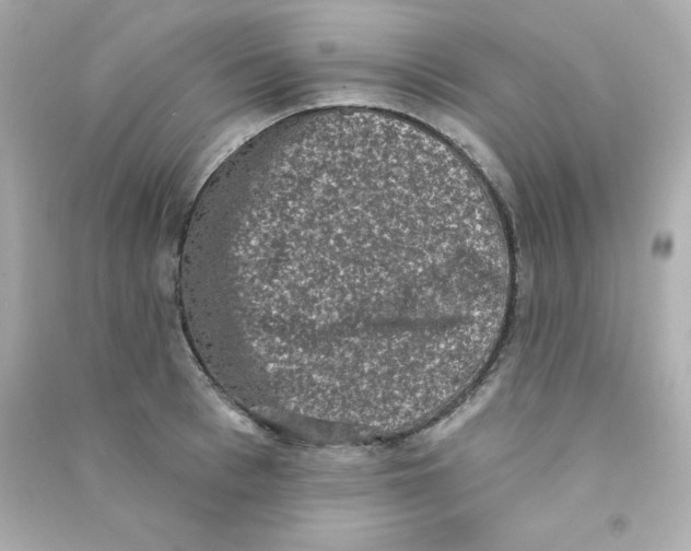X0000090420993200708101938