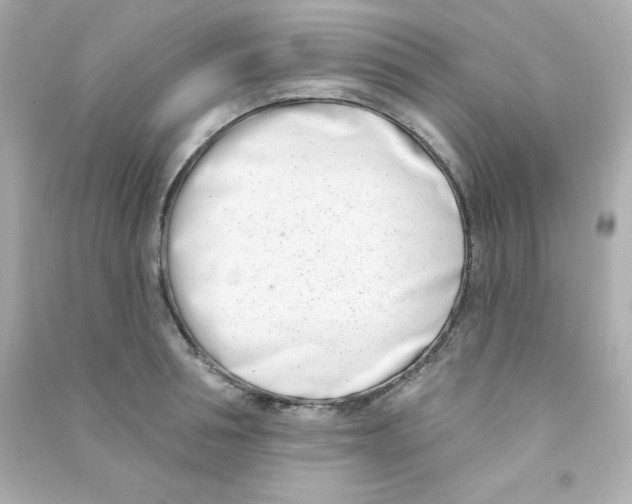 X0000090420994200708101938