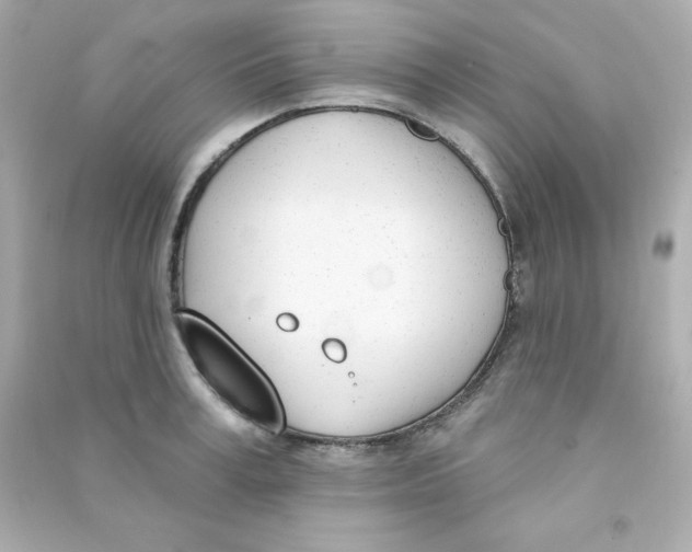 X0000090420995200708101938