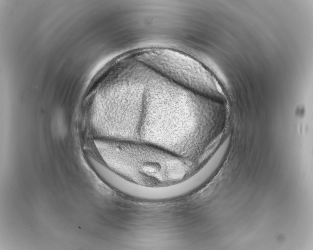 X0000090420996200708101938