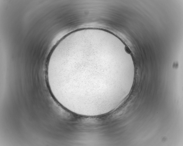X0000090420998200708101938