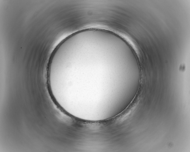 X0000090420999200708101938