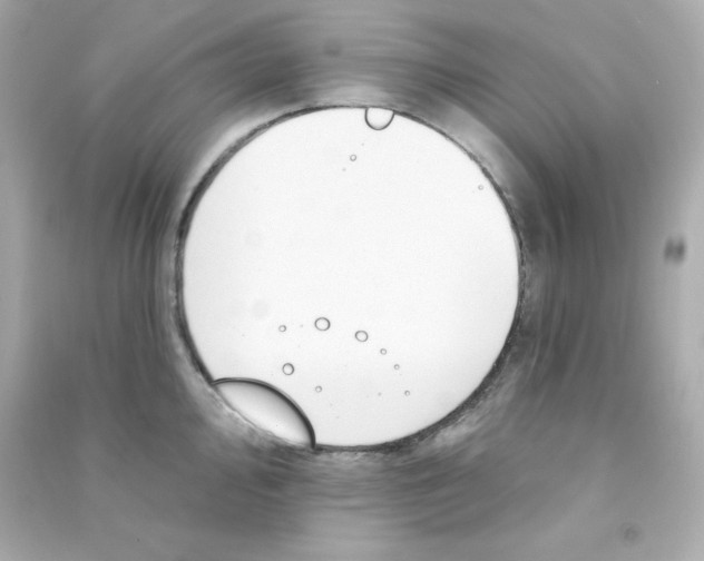 X0000090421000200708101938