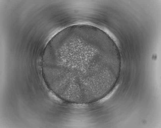 X0000090421001200708101938