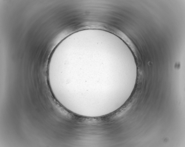X0000090421002200708101938