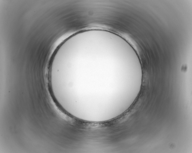 X0000090421003200708101938