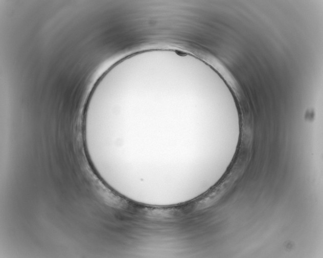 X0000090421004200708101938