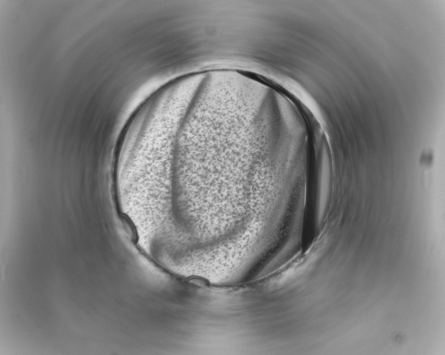 X0000090421005200708101938