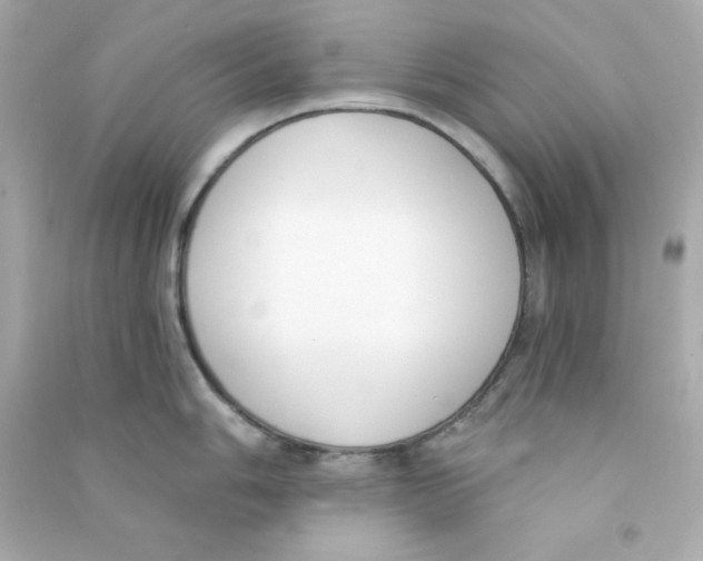 X0000090421006200708101938