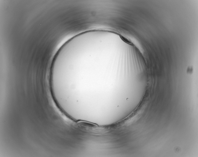 X0000090421007200708101938